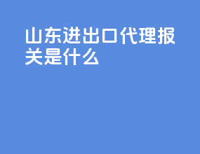 山东进出口代理报关是什么