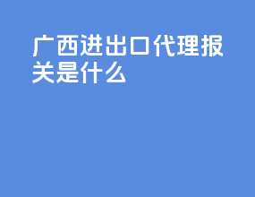 广西进出口代理报关是什么