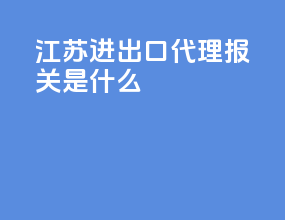 江苏进出口代理报关是什么