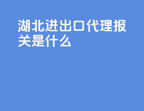 湖北进出口代理报关是什么