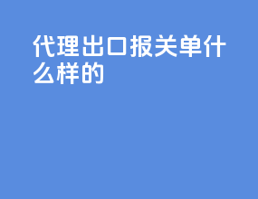 代理出口报关单什么样的