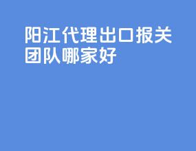 阳江代理出口报关团队哪家好