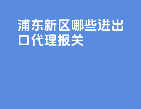 浦东新区哪些进出口代理报关