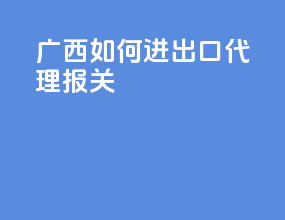 广西如何进出口代理报关