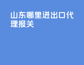 山东哪里进出口代理报关