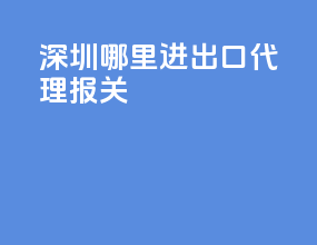 深圳哪里进出口代理报关