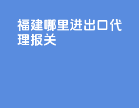 福建哪里进出口代理报关