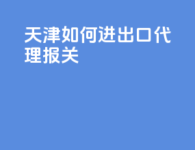 天津如何进出口代理报关