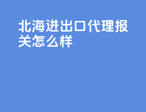北海进出口代理报关怎么样