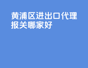 黄浦区进出口代理报关哪家好