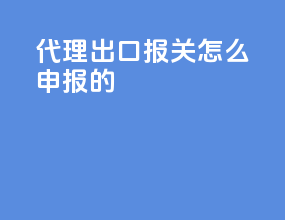 代理出口报关怎么申报的