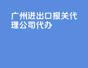 广州进出口报关代理公司代办