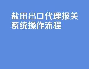 盐田出口代理报关系统操作流程
