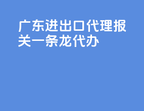 广东进出口代理报关一条龙代办