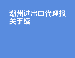 潮州进出口代理报关手续
