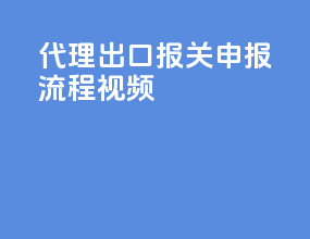 代理出口报关申报流程视频