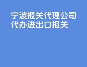 宁波报关代理公司代办进出口报关
