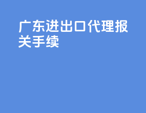 广东进出口代理报关手续