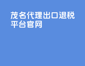 茂名代理出口退税平台官网