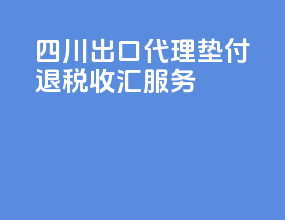四川出口代理垫付退税收汇服务