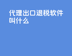代理出口退税软件叫什么