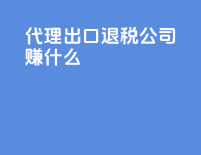 代理出口退税公司赚什么