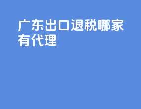 广东出口退税哪家有代理