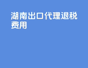 湖南出口代理退税费用
