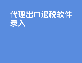 代理出口退税软件录入