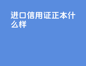 进口信用证正本什么样