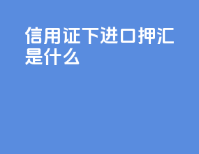 信用证下进口押汇是什么