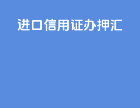 进口信用证办押汇