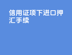 信用证项下进口押汇手续