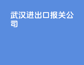 武汉进出口报关公司