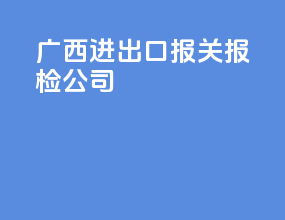 广西进出口报关报检公司