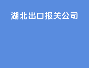 湖北出口报关公司