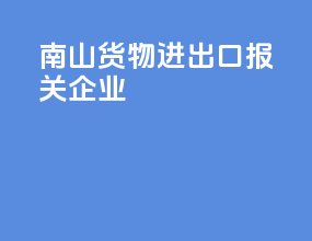 南山货物进出口报关企业