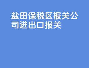 盐田保税区报关公司进出口报关