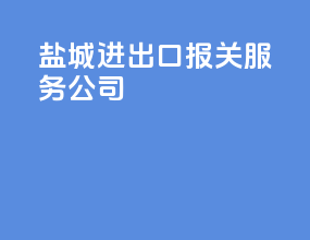 盐城进出口报关服务公司