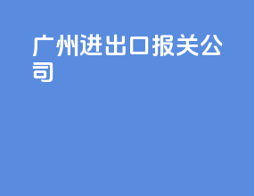 广州进出口报关公司
