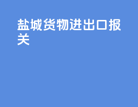 盐城货物进出口报关