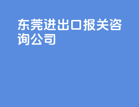 东莞进出口报关咨询公司