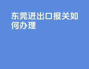 东莞进出口报关如何办理