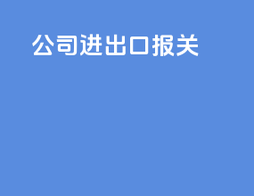 公司进出口报关