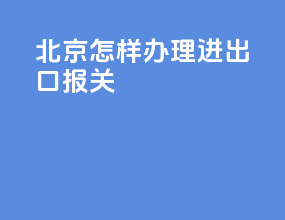 北京怎样办理进出口报关