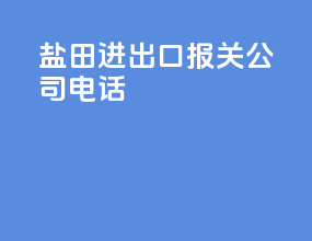 盐田进出口报关公司电话