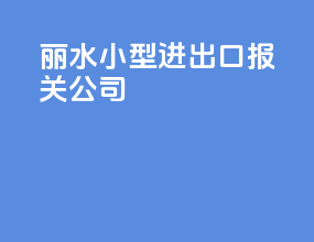 丽水小型进出口报关公司
