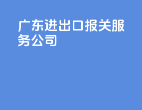 广东进出口报关服务公司