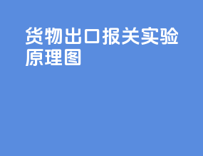 货物出口报关实验原理图