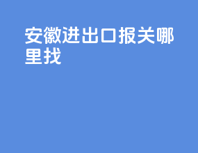 安徽进出口报关哪里找